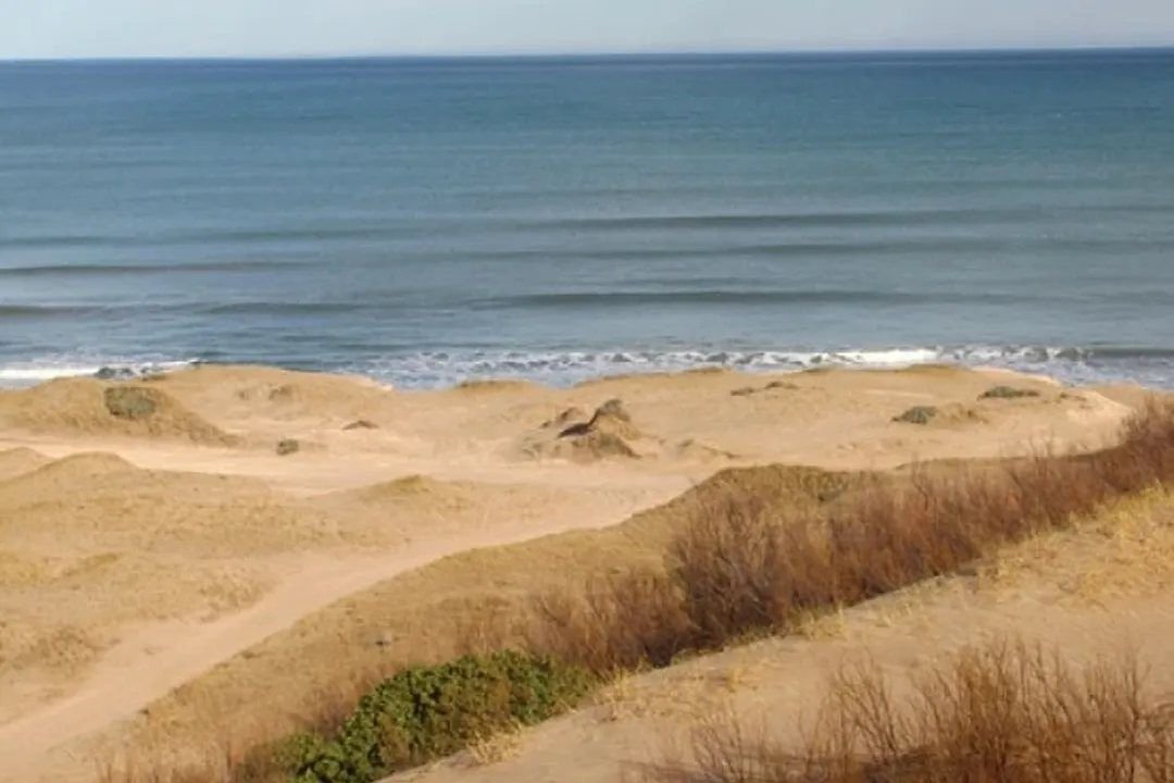 Médanos frente al océano en la costa de Lobería
